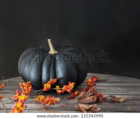 Black pumpkin with berries and leaves on table 