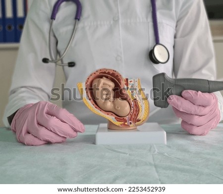 Ultrasound of pregnant woman with ultrasonic sensor obstetric ultrasound. Fetal ultrasound