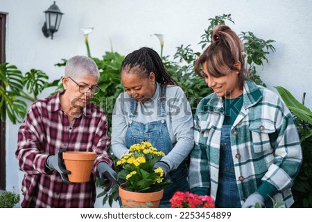Group of retired women gardening together and having fun with their hobby. Concept: gardening, lifestyle, retirement