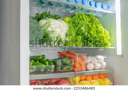 fridge full of fresh fruits and vegetables, healthy food background, organic nutrition, health care,dieting concept.