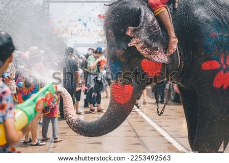 Young elephant enjoying himself and splashing water during Thailand's Songkran Festival. Royalty-Free Stock Photo #2253492563