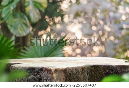 table top wood podium counter in tropical outdoor nature garden forest jungle green plant with golden sunlight background. healthy natural product placement promotion display.spring or summer scene.