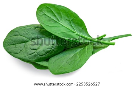 Pile of fresh green baby spinach leaves isolated on white background. Espinach Close up. Flat lay. Food concept.  Royalty-Free Stock Photo #2253526527