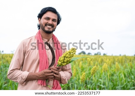 Happy smiling young farmer holding crop and sickle by looking camera at corn or maize field - concept of real rural people, happiness and cultivation Royalty-Free Stock Photo #2253537177