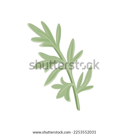 Branch of wormwood isolated on a white background. Vector cartoon illustration of medical grass. Sagebrush icon. Royalty-Free Stock Photo #2253552031