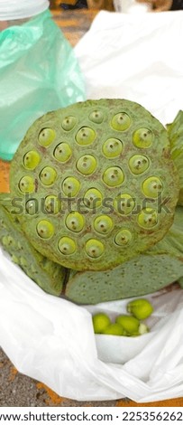lotus fruits of the type Nelumbo Nucifera are abundant in Asian lakes. just picked up in Lake Negeri Perak, Malaysia. the fruit is green and has white nuts that are good to eat just like that.