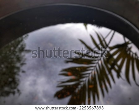 Defocused palm leaf and sky reflection on washbasin water