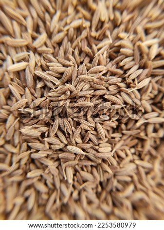 closeup picture of jeera seeds