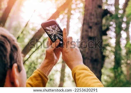 Unrecognizable man taking picture of tall trees with his smart phone in the forest or park. Selective focus.