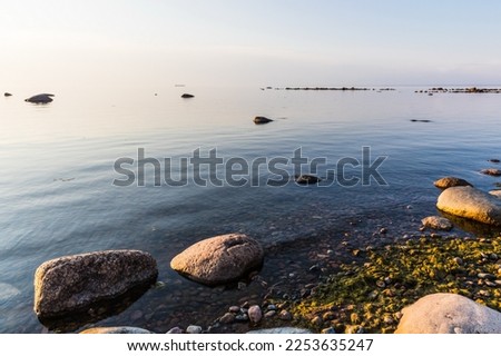 South coast of the Gulf of Finland at sunset with stones scattered in the water, near St. Petersburg, Russia.
