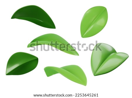 Green leaves set of different projections. 3d vector realistic. Ecology, bio and natural products concept.