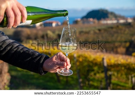 Pouring in glass of txakoli or chacolí slightly sparkling very dry white wine produced in Spanish Basque Country on vineyards in Getaria in autumn, Spain Royalty-Free Stock Photo #2253655547
