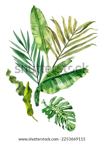 Watercolor hand drawn rainforest tropical leaves bouquet composition. Botanical illustration isolated on white background. Hand painted watercolor floral clip art