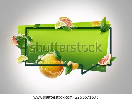 3d illustration of a fruits splash frame with orange, grapefruit, lime, tangerine and mint. Design for cards, party invitation, Print, Frame Clip Art and Business Advertisement and Promotion
