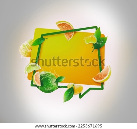 3d illustration of a fruits splash frame with orange, grapefruit, lime, tangerine and mint. Design for cards, party invitation, Print, Frame Clip Art and Business Advertisement and Promotion