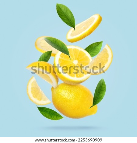 Fresh ripe lemons and green leaves falling on pale light blue background