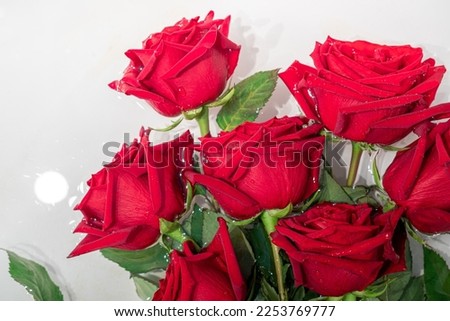 Fresh wet red roses bouquet in water on light neutral background close up. Valentine's day, mother's day, wedding, birthday image. Festive creative background. Horizontal format.