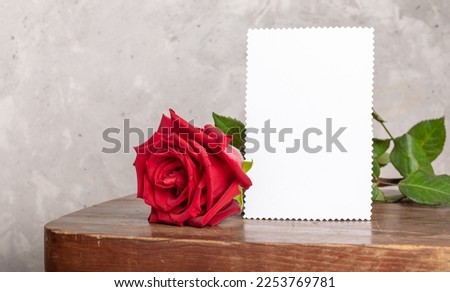 Red rose with white paper sheet for text on old rustic wooden table on light gray concrete wall background. Valentine's day, mother's day, wedding, birthday image. Copy space. Mock up.