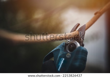 Garden work of spring. Farmer hand prunes and cuts branches of a tree in the garden with cordless shears or secateurs in spring. Man pruning tree with cordless secateurs. Spring cut tree close up. Royalty-Free Stock Photo #2253826437