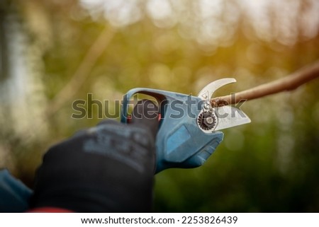 Garden work of spring. Farmer hand prunes and cuts branches of a tree in the garden with cordless shears or secateurs in spring. Man pruning tree with cordless secateurs. Spring cut tree close up. Royalty-Free Stock Photo #2253826439