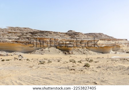 Bu Salwa Shelf Hills Desert landscape with limestone hillocks in the background, Qatar