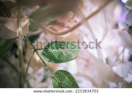 Green leaves of white artificial flowers, shallow depth field and blurred background.