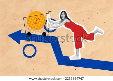 Collage 3d image of pinup pop retro sketch of happy excited lady earning money isolated painting background