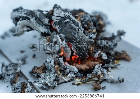 chemical experiment with urotropin and calcium gluconate ash dragon. Royalty-Free Stock Photo #2253886741