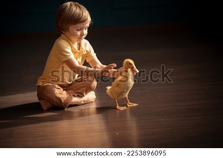 A cute little baby with a duckling. Easter picture. Cute Kids. A boy and animals. Happy Childhood. Happy Childhood. Emotions. The joy of contact with the duck. Yellow clothes, dark room