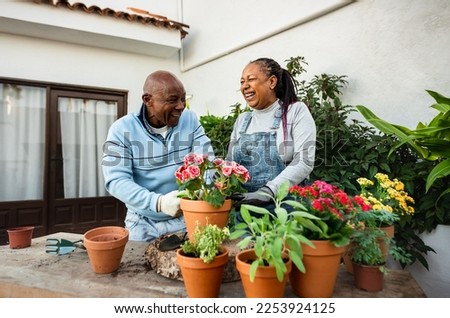 Happy African senior people gardening together at home Royalty-Free Stock Photo #2253924125