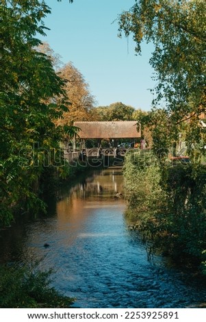 A wooden bridge in the park with and autumn colors of Bietigheim-Bissingen, Germany. Europe. Autumn landscape in nature. Autumn colors in the forest. autumn view with wooden bridge over stream in the