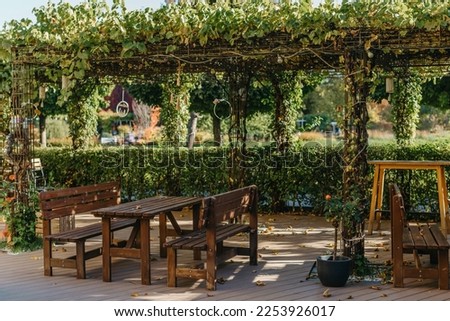 Garden Furniture For Leisure Time In Nature. Empty Chairs And Table Table In Orchard. Wooden Outdoor Furniture Set For Picnic In Autumn Garden. Cozy Interior Courtyard With Table And Chair In Village