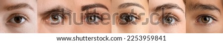 Collage with brown eyes of different people, closeup Royalty-Free Stock Photo #2253959841