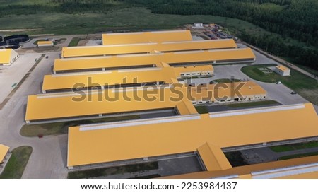 Aerial photography of a large agricultural farm. A complex of buildings with yellow roofs of an agricultural farm for the maintenance of cattle. Farm from above. Hangars for cows and sheep.