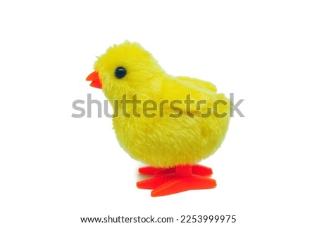 walking chicken toy for kids. little baby chicken toy isolated on white background. 