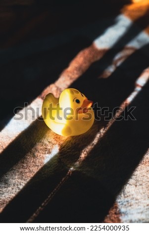 Rubber duck by the window, in the spring sunshine
