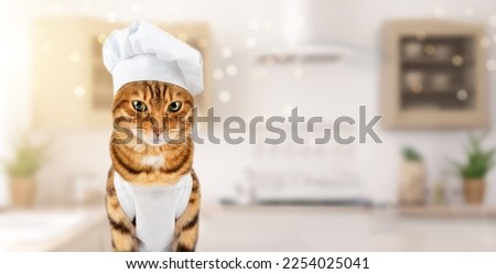 A cat dressed as a chef in the background of a blurred kitchen.