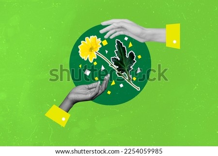 Creative 3d photo collage artwork graphics painting of arms sharing one yellow flower isolated drawing background