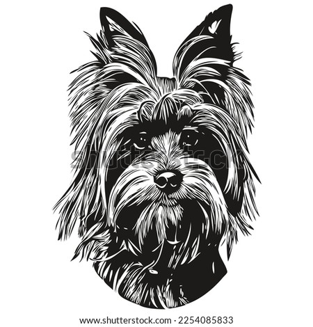 Yorkshire Terrier dog hand drawn logo line art vector drawing black and white pets illustration
