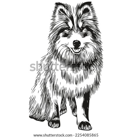 Shetland Sheepdog dog logo hand drawn line art vector drawing black and white pets illustration
