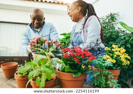 Multiracial women preparing flowers plants at home patio garden - Focus on african woman face