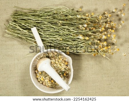 Chamomile. Dry herbs for use in alternative medicine, phytotherapy, spa or herbal cosmetics. Preparing infusions, decoctions or tinctures. For powders, ointments, oil or tea, bath.