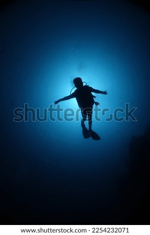 Silhouette diving with the sun as background