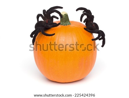 Series of isolated on white Halloween themed pictures