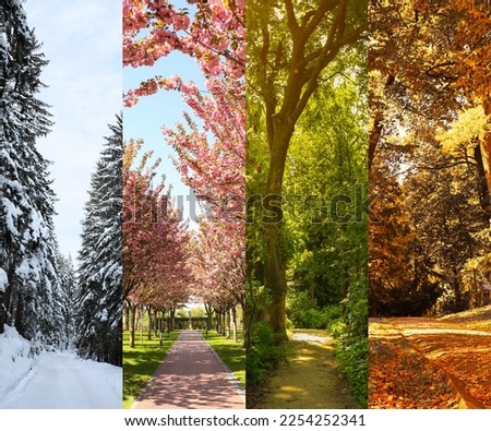 Four seasons. Collage design with beautiful photos of nature Royalty-Free Stock Photo #2254252341