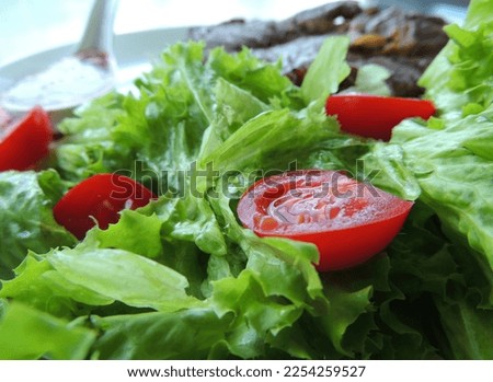 Roasted beef on a pillow of fresh salad leaves and cherry tomatoes closeup stock photo
