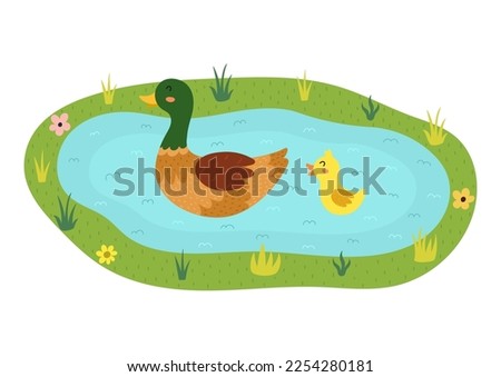 Mother duck with her baby duckling on the lake. Pond with birds on it print in cartoon style. Farm animals at their home poster. Vector illustration
