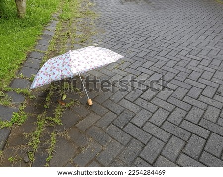Umbrella on a street background