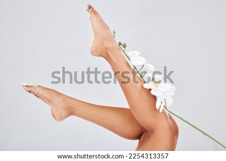 Legs, feet and skin with woman and flower for natural cosmetics, beauty and epilation isolated on studio background. Laser hair removal, waxing with orchid for vegan skincare, nature and pedicure Royalty-Free Stock Photo #2254313357