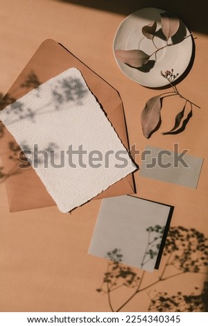 Aesthetic flat lay of paper sheet mockups, decorative twig, beautiful overlay shadows. Wedding, branding, graphic design, portfolio template.